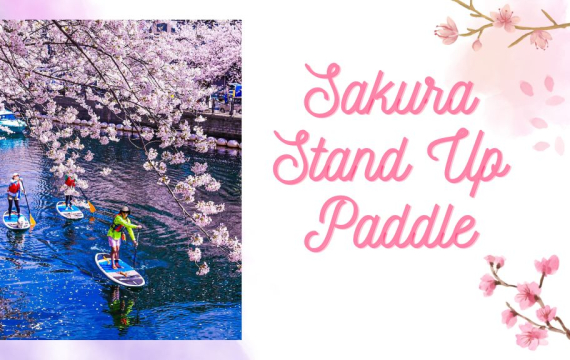 Sakura Stand Up Paddle